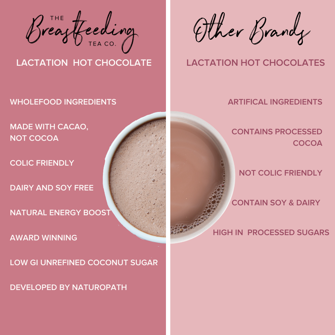 Vegan Lactation Hot Chocolate (DF, SF, V)