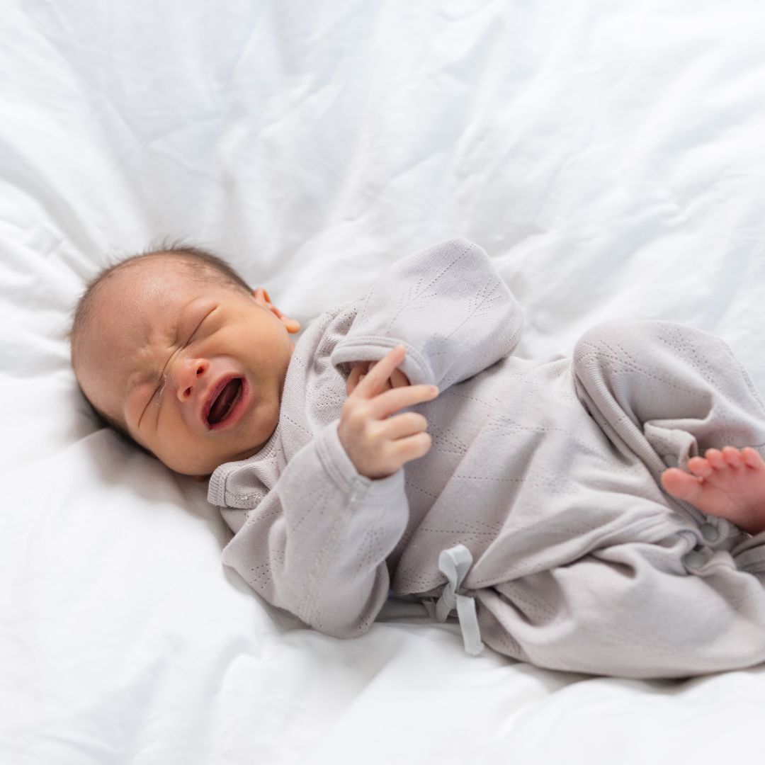 Are Lactation Cookies Causing Your Baby Wind or Tummy Upset?