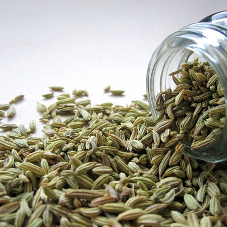 Is Fennel Safe When Breastfeeding? Here’s What You Need to Know