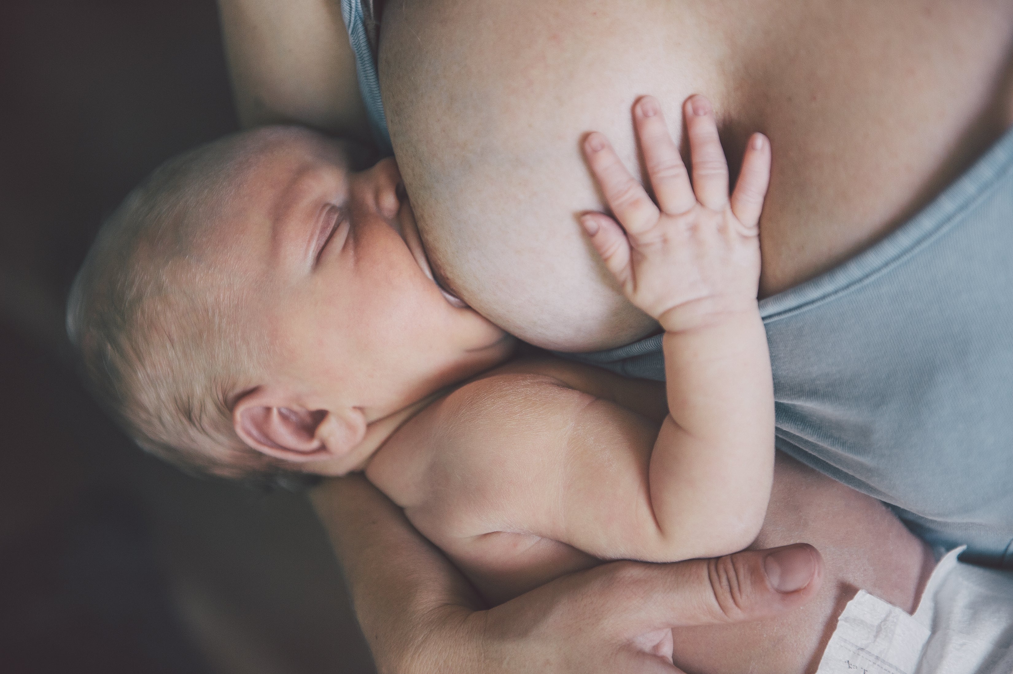 PROBIOTICS & BREASTFEEDING